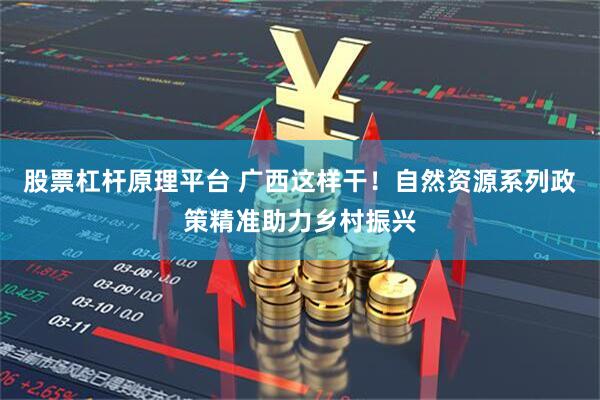 股票杠杆原理平台 广西这样干！自然资源系列政策精准助力乡村振兴
