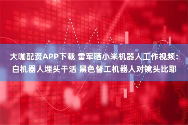 大咖配资APP下载 雷军晒小米机器人工作视频：白机器人埋头干活 黑色督工机器人对镜头比耶